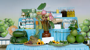 Đại hội Đại biểu Đảng bộ phường Hoài Nhơn Tây lần thứ I, nhiệm kỳ 2025 - 2030