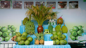 Đại hội Đại biểu Đảng bộ phường Hoài Nhơn Tây lần thứ I, nhiệm kỳ 2025 - 2030