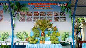 Đại hội Đại biểu Đảng bộ phường Hoài Nhơn Tây lần thứ I, nhiệm kỳ 2025 - 2030