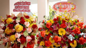 Đại hội Đại biểu Đảng bộ phường Hoài Nhơn Tây lần thứ I, nhiệm kỳ 2025 - 2030