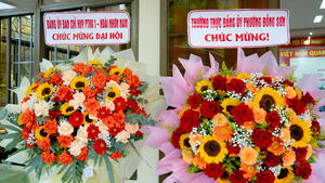 Đại hội Đại biểu Đảng bộ phường Hoài Nhơn Tây lần thứ I, nhiệm kỳ 2025 - 2030