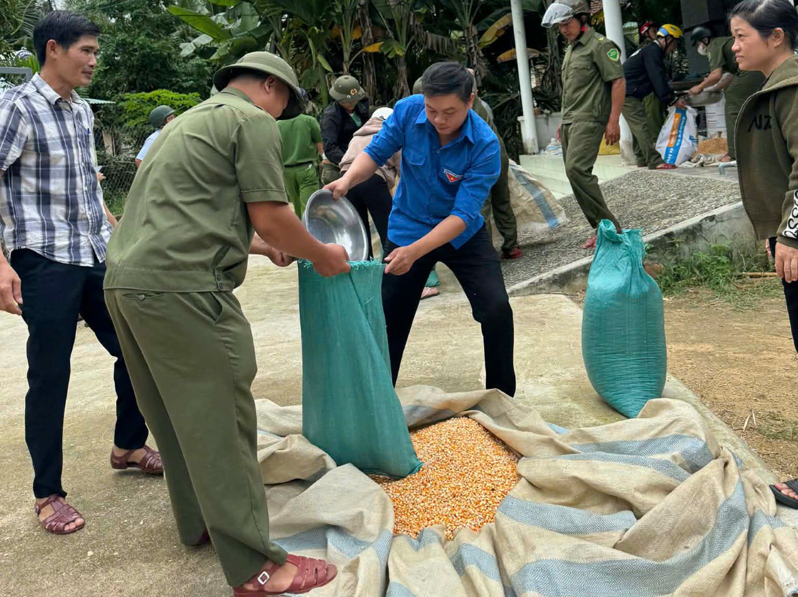 Hỗ trợ bà con Nhân dân thu thập mùa màng